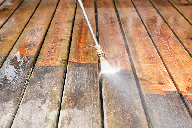 Best Gutter Cleaning  in Villas, FL
